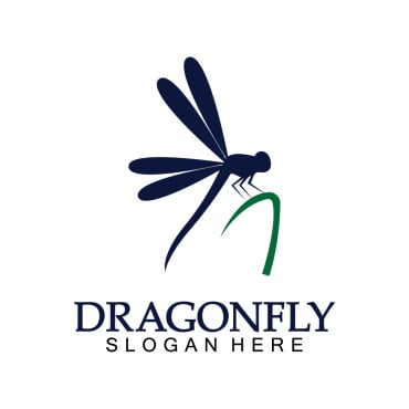 Dragonfly Illustration Logo Templates 387901