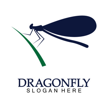 Dragonfly Illustration Logo Templates 387914