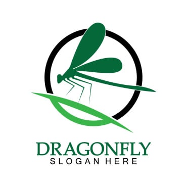 Dragonfly Illustration Logo Templates 387927