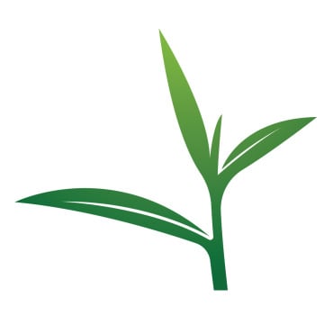Vector Plant Logo Templates 388282