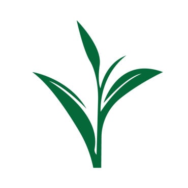 Vector Plant Logo Templates 388284