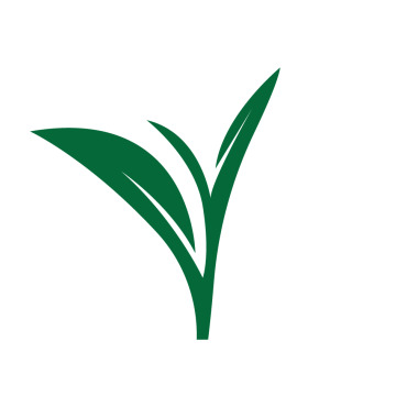 Vector Plant Logo Templates 388289