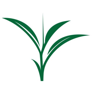 Vector Plant Logo Templates 388291
