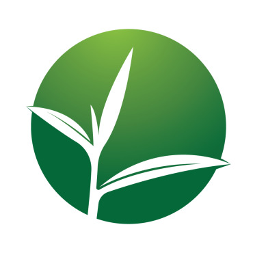 Vector Plant Logo Templates 388300