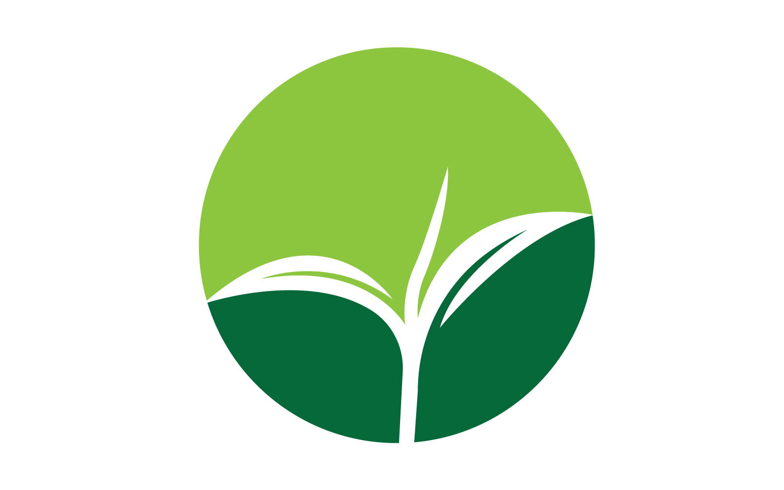 Natural leaf mint green logo illustration design vector v36