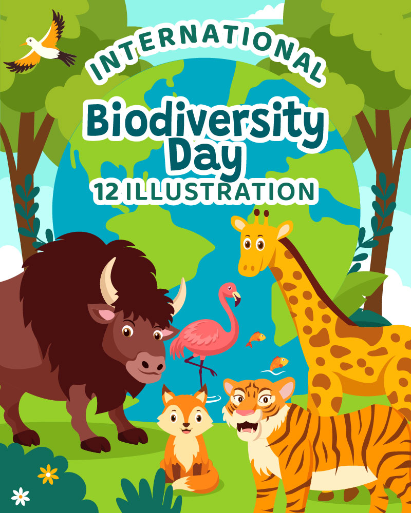 12 World Biodiversity Day Illustration