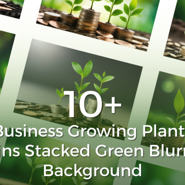 Business Growing Backgrounds 390493