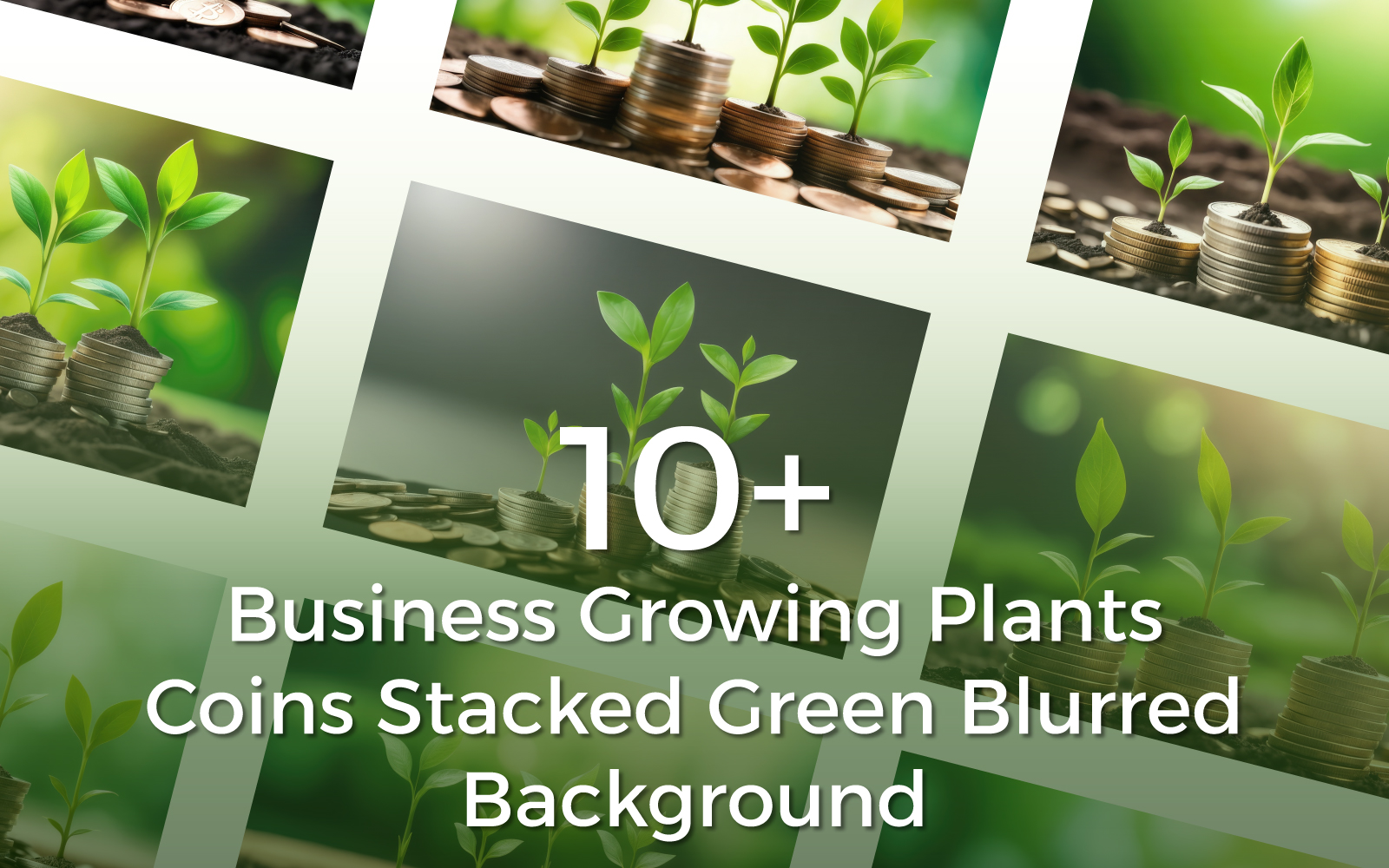 10+ Premium Business Growing Plants on Coins Stacked on Green Blurred Background Bundles