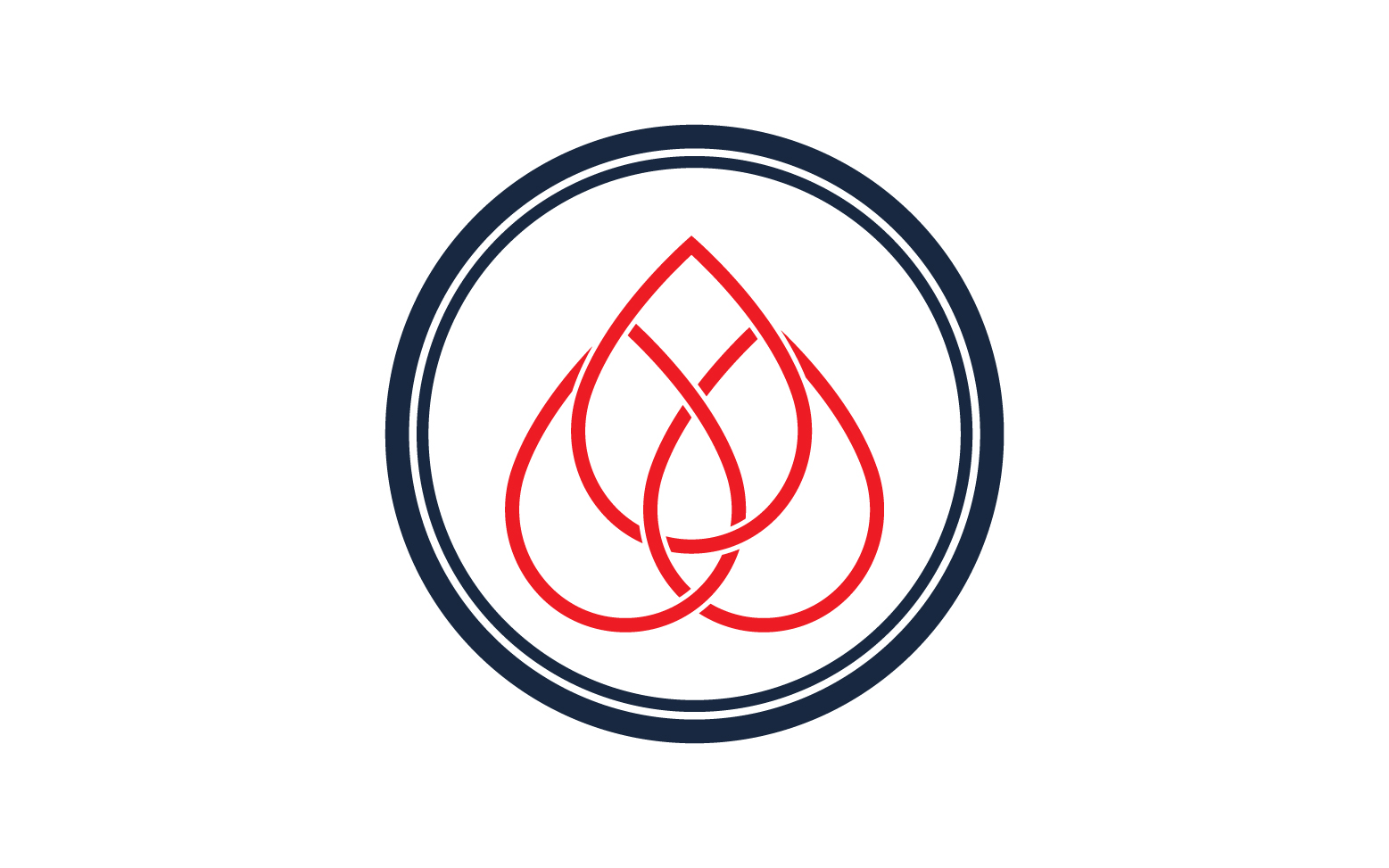 Blood drop icon logo template version v19