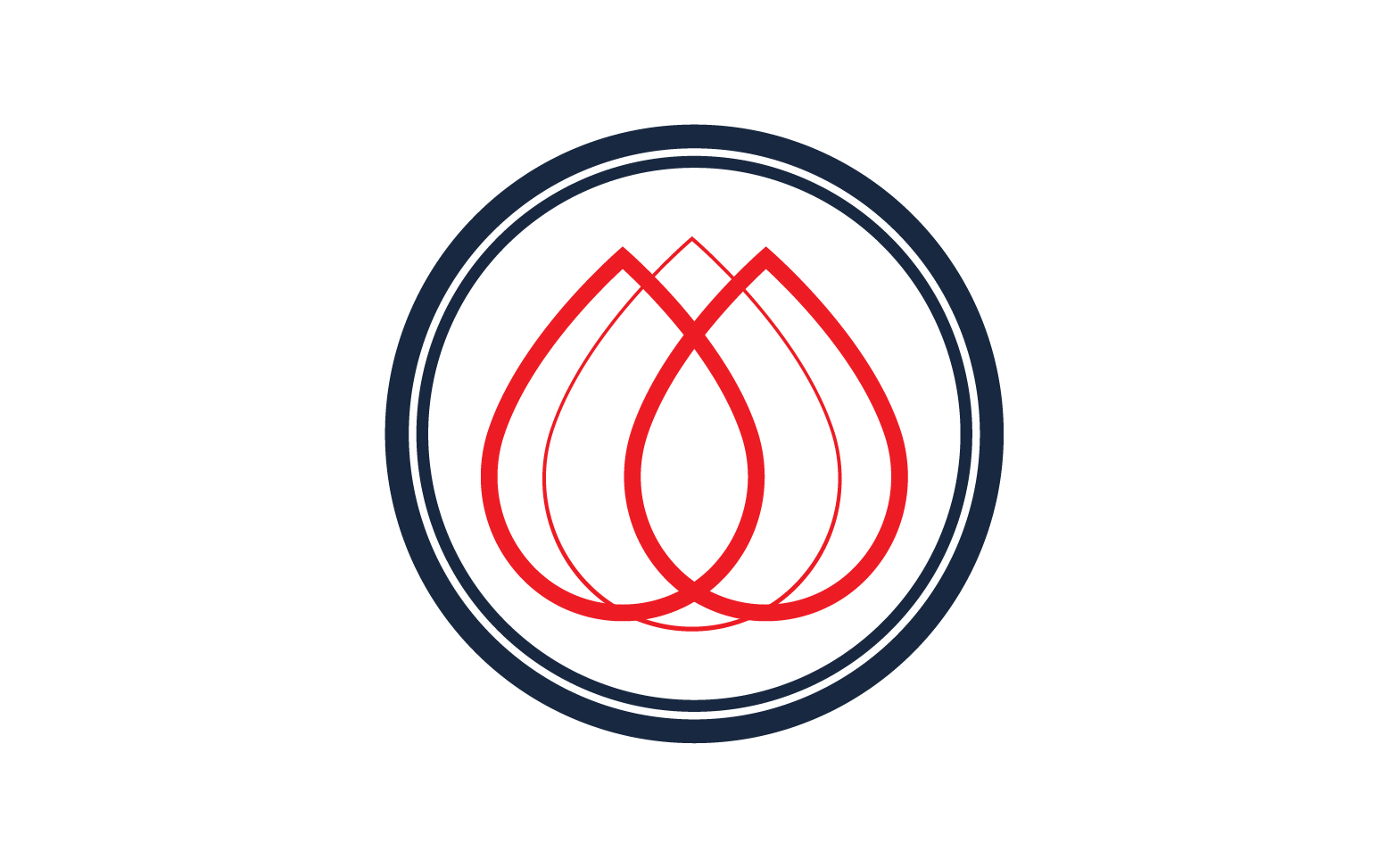 Blood drop icon logo template version v58