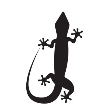 Animal Chameleon Logo Templates 392116