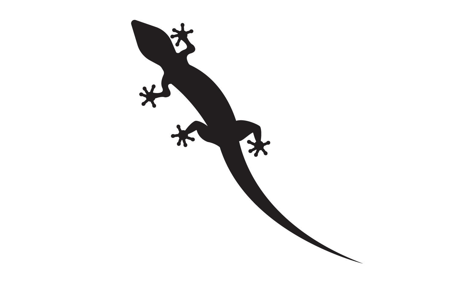 Lizard chameleon home lizard logo v19