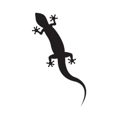 Animal Chameleon Logo Templates 392124