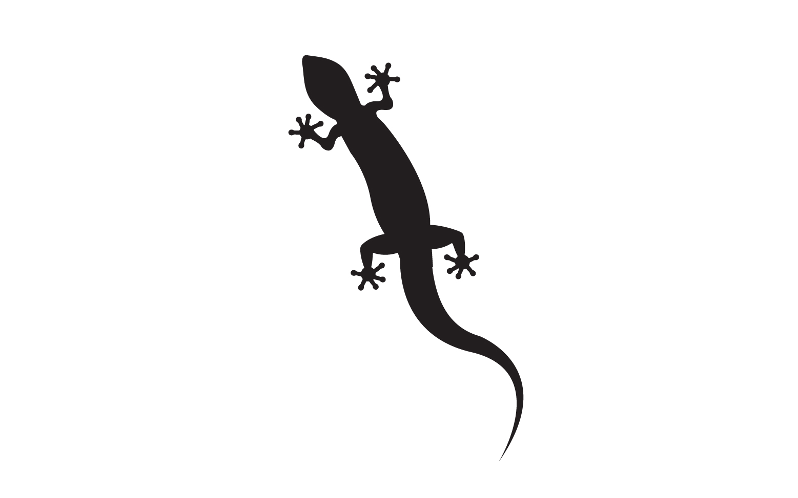 Lizard chameleon home lizard logo v16