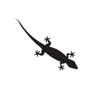 Animal Chameleon Logo Templates 392125