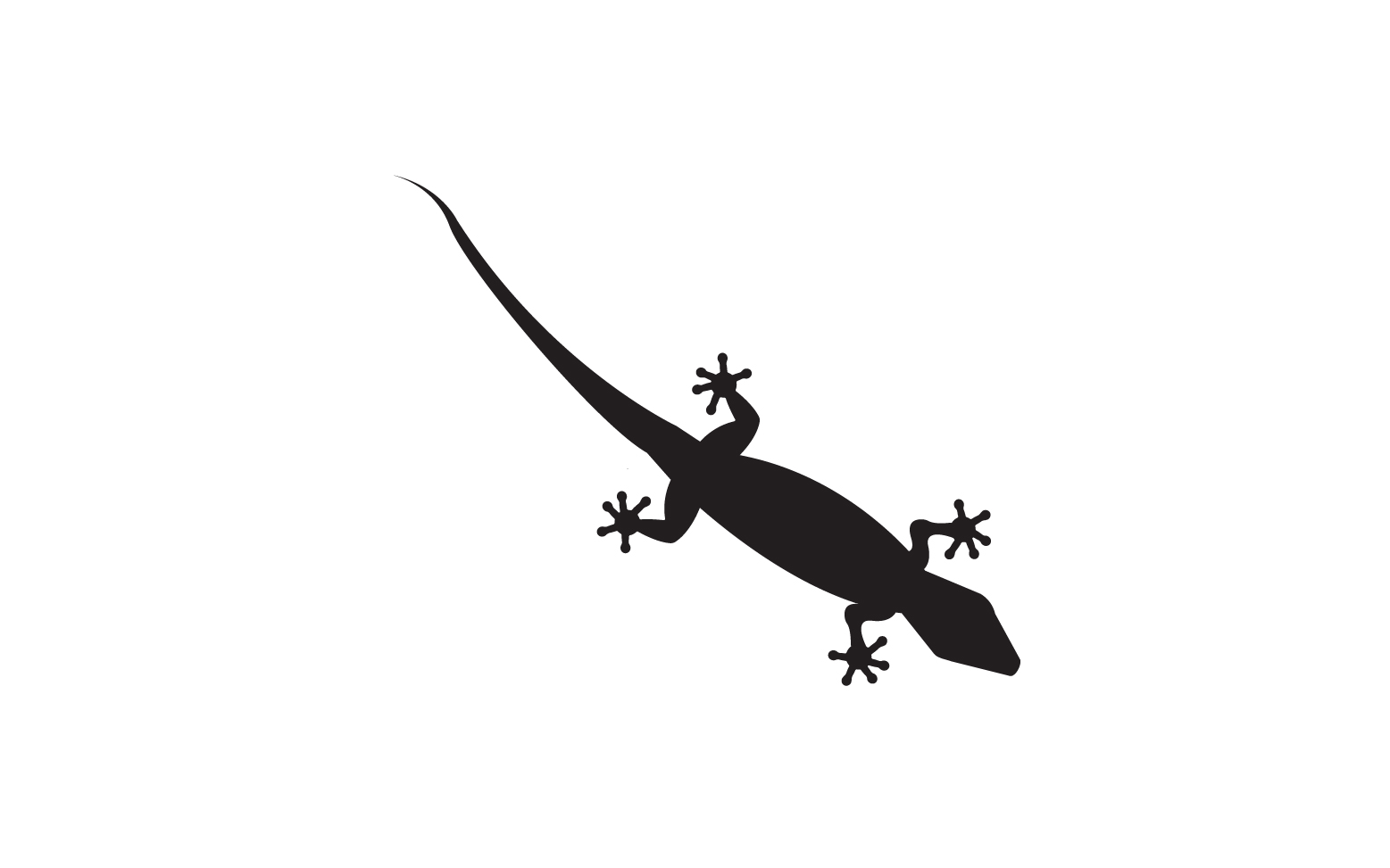 Lizard chameleon home lizard logo v21