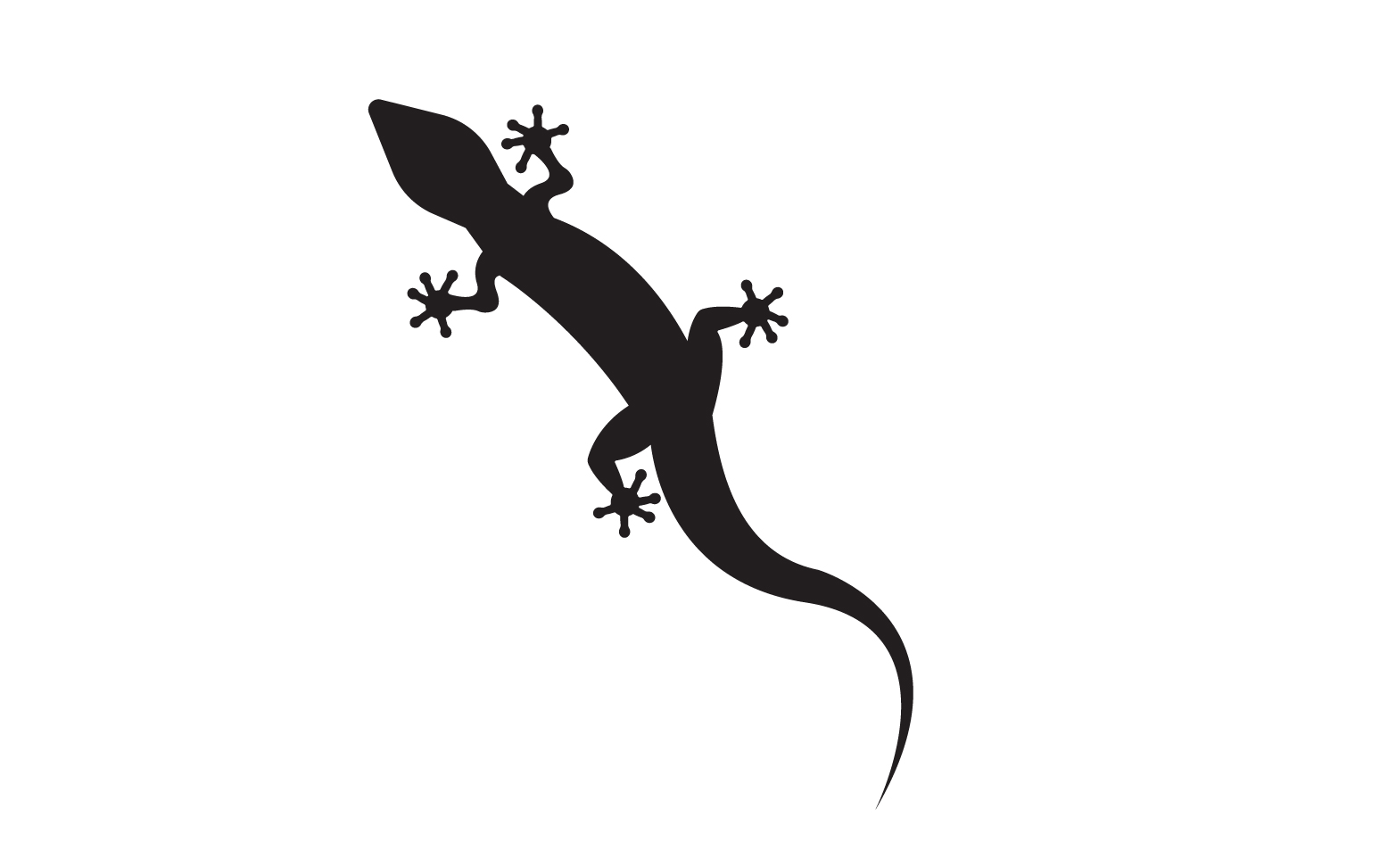Lizard chameleon home lizard logo v20