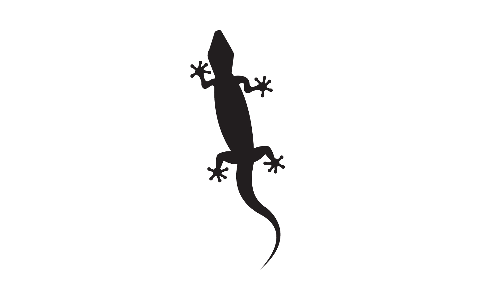 Lizard chameleon home lizard logo v22