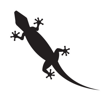 Animal Chameleon Logo Templates 392129