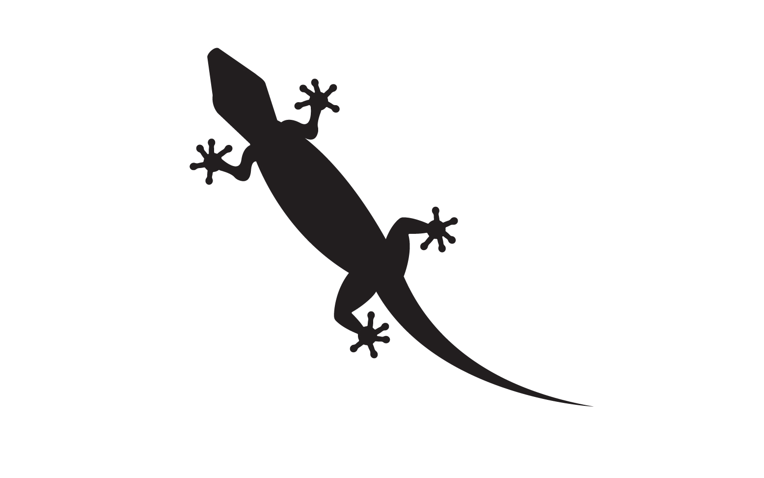 Lizard chameleon home lizard logo v30