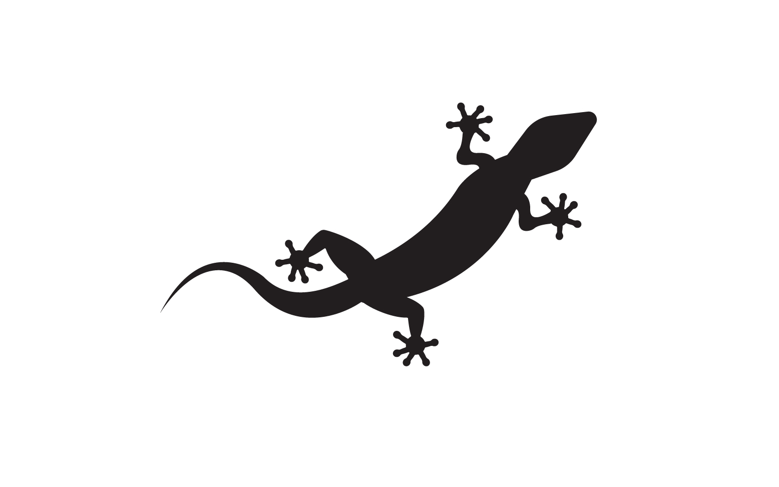 Lizard chameleon home lizard logo v31