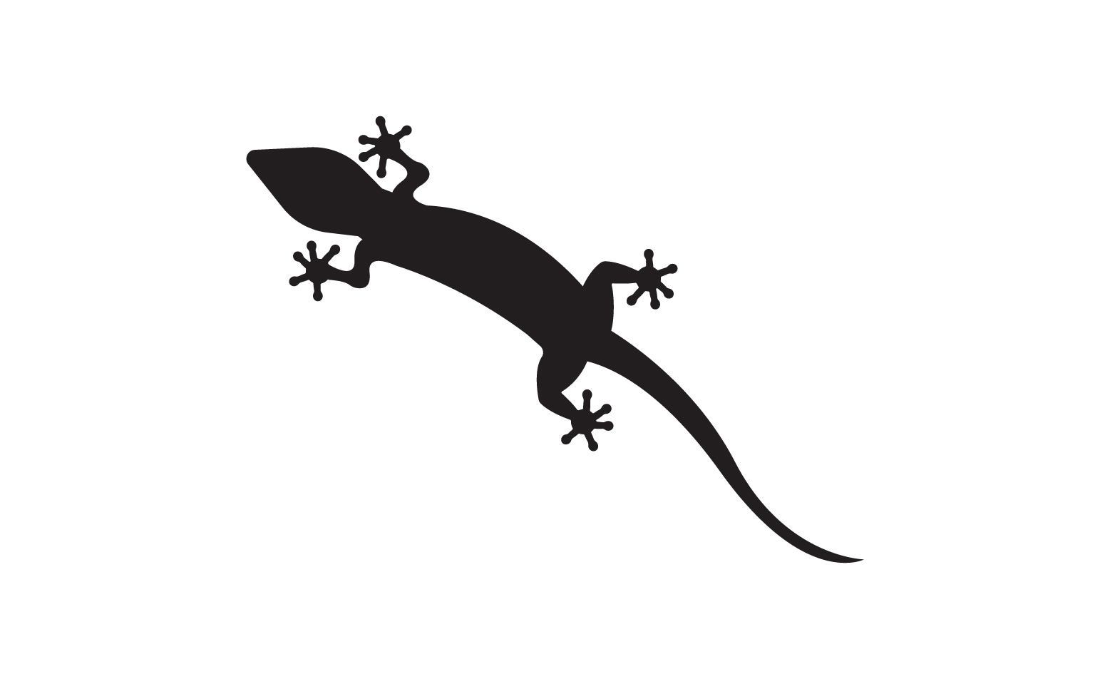 Lizard chameleon home lizard logo v27