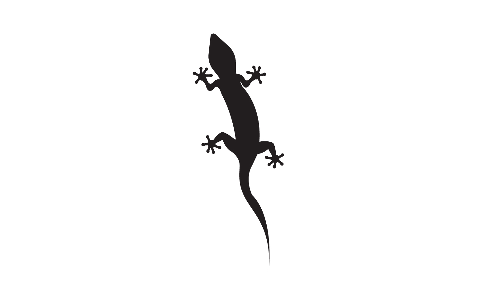 Lizard chameleon home lizard logo v26