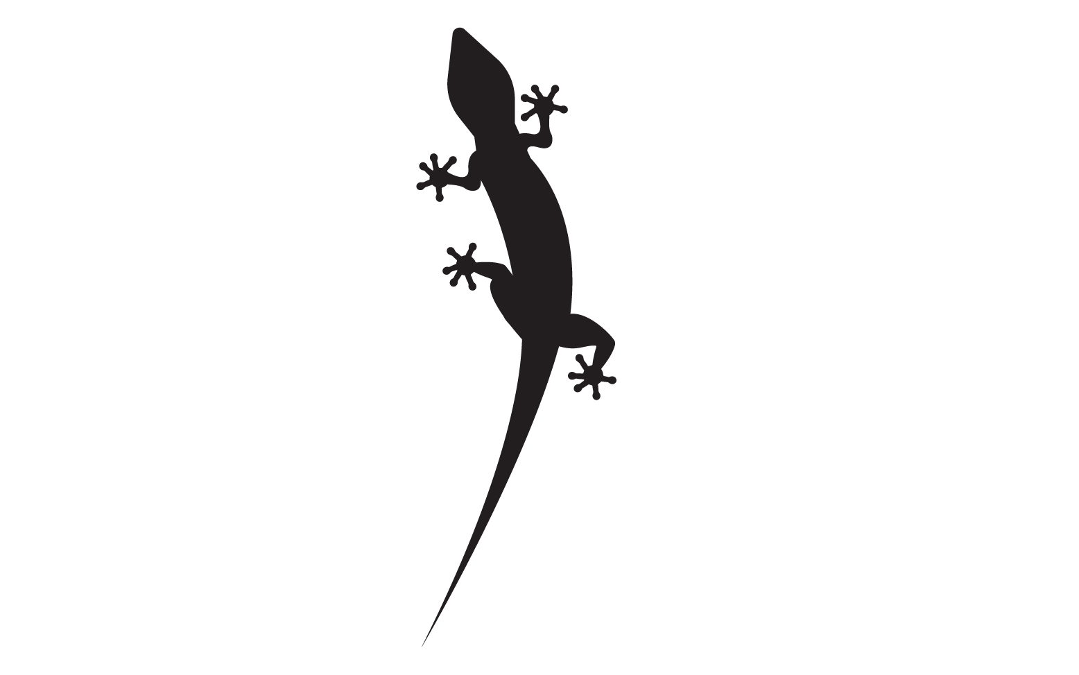 Lizard chameleon home lizard logo v28