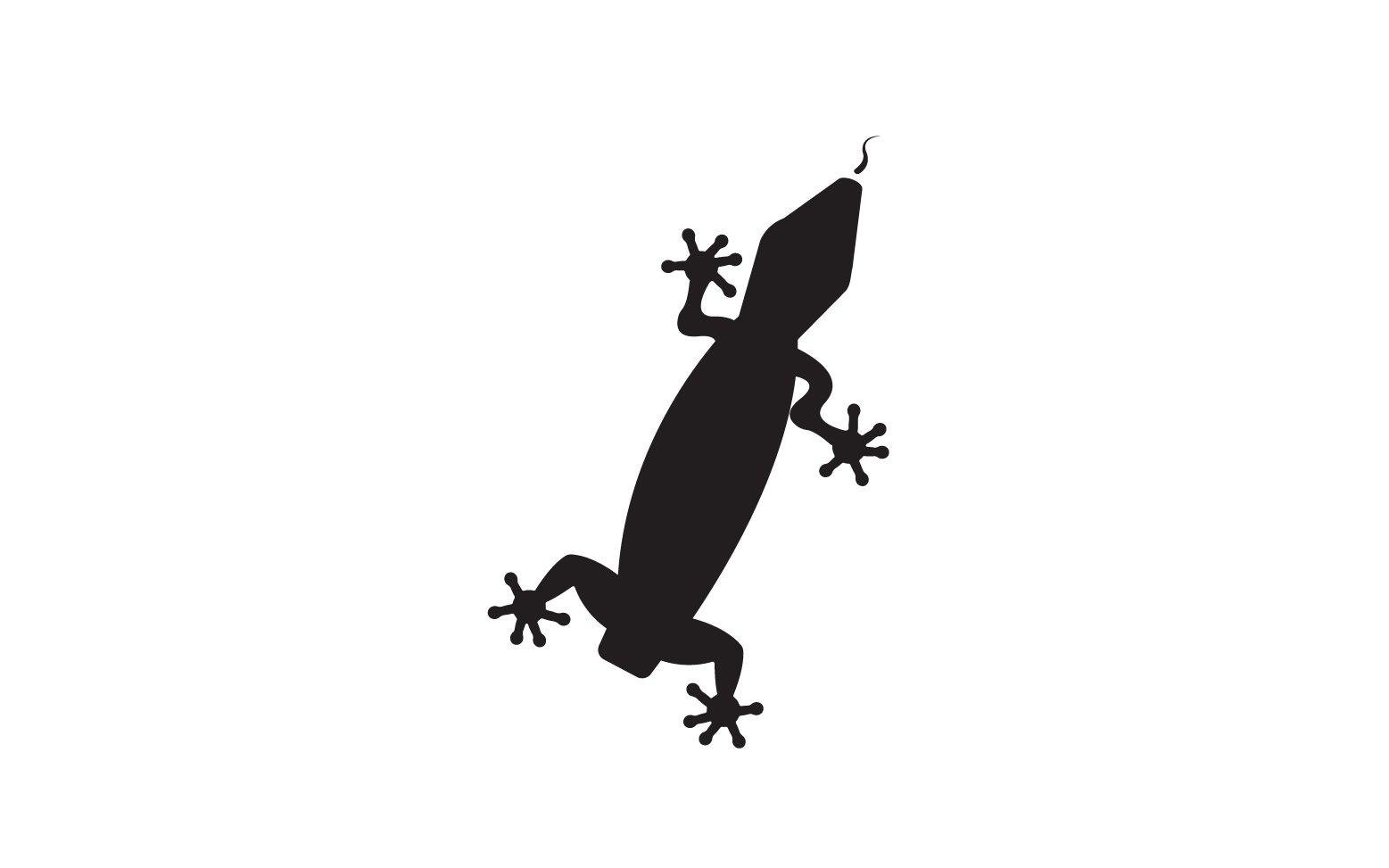 Lizard chameleon home lizard logo v24