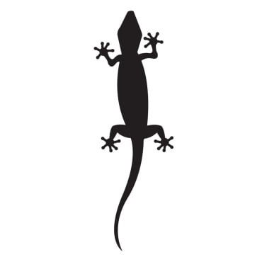 Animal Chameleon Logo Templates 392135