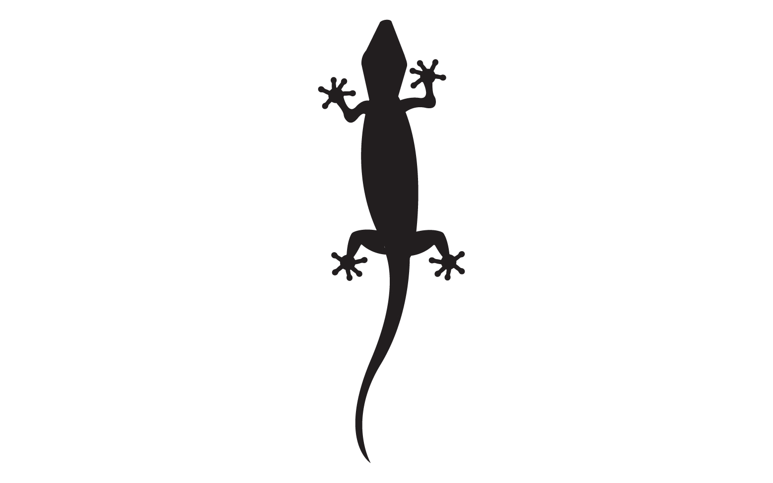 Lizard chameleon home lizard logo v29