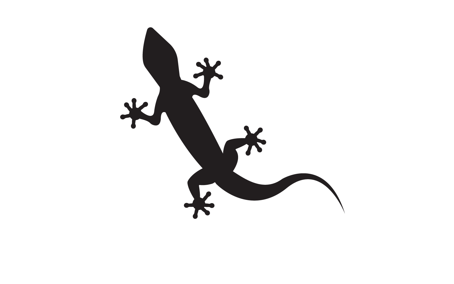 Lizard chameleon home lizard logo v25