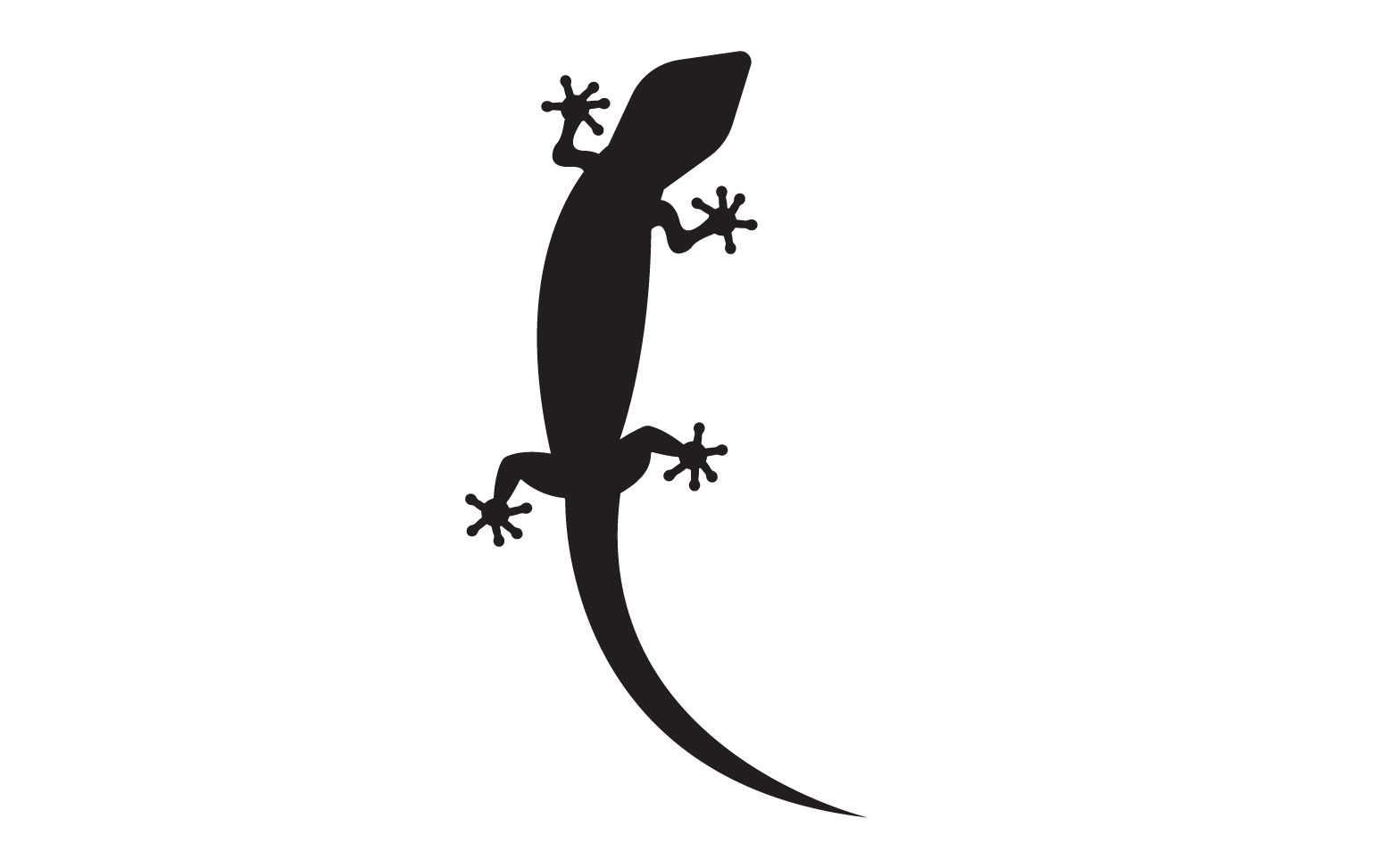 Lizard chameleon home lizard logo v33