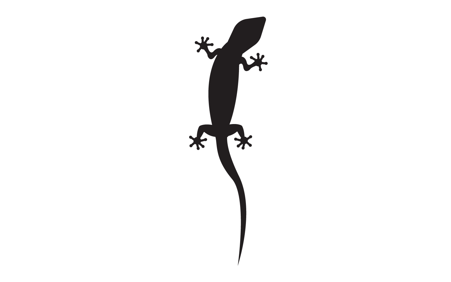 Lizard chameleon home lizard logo v37