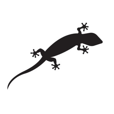 Animal Chameleon Logo Templates 392142