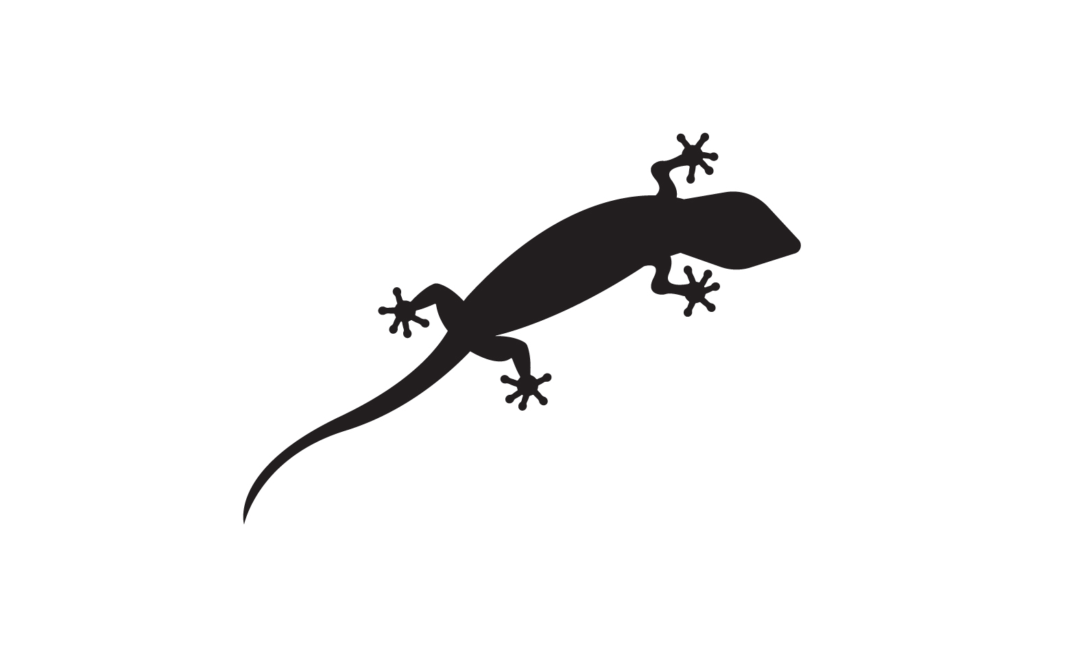 Lizard chameleon home lizard logo v36