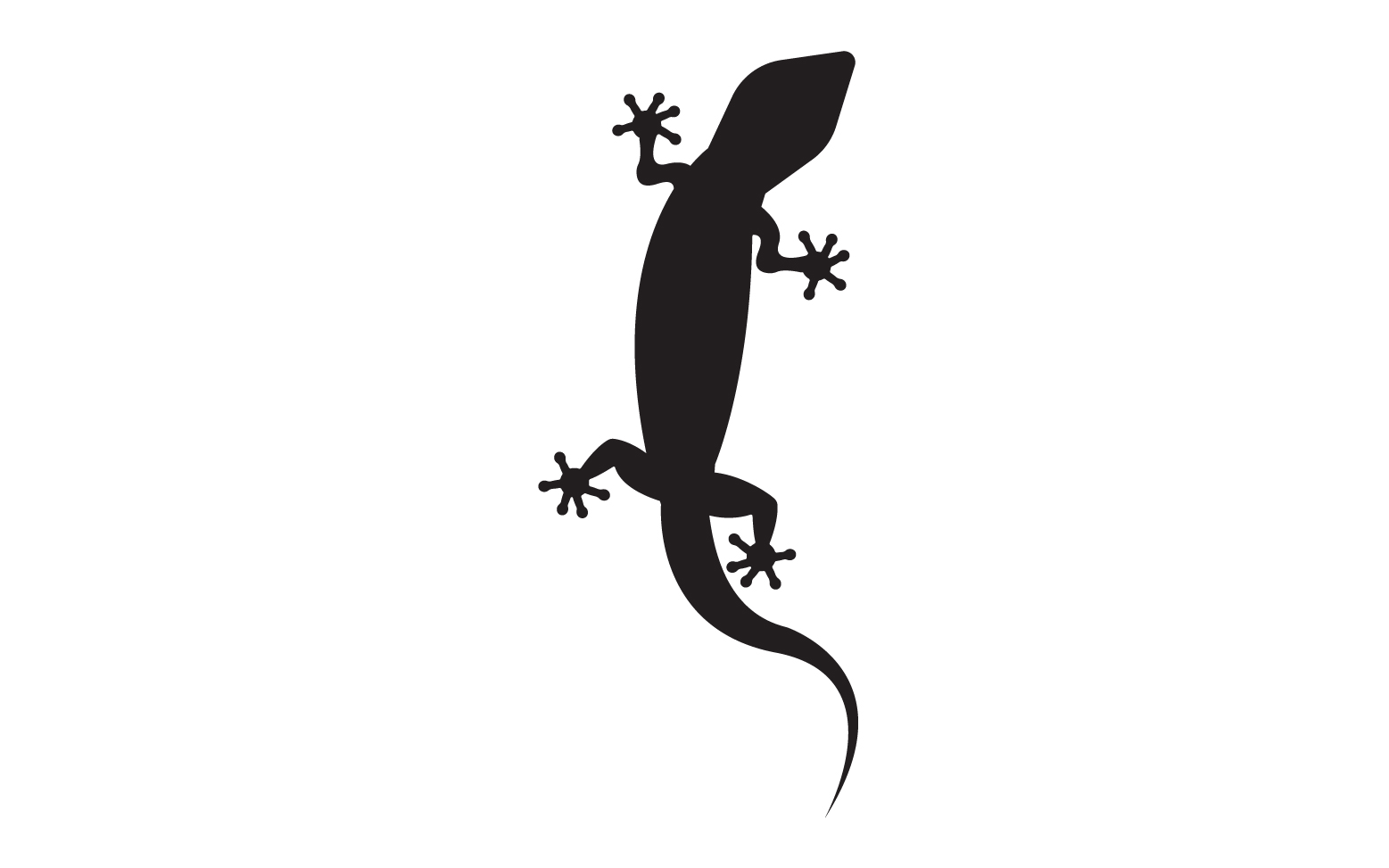 Lizard chameleon home lizard logo v35