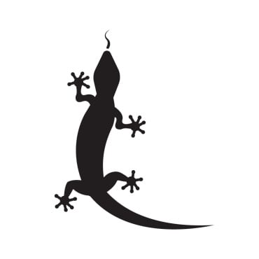 Animal Chameleon Logo Templates 392145