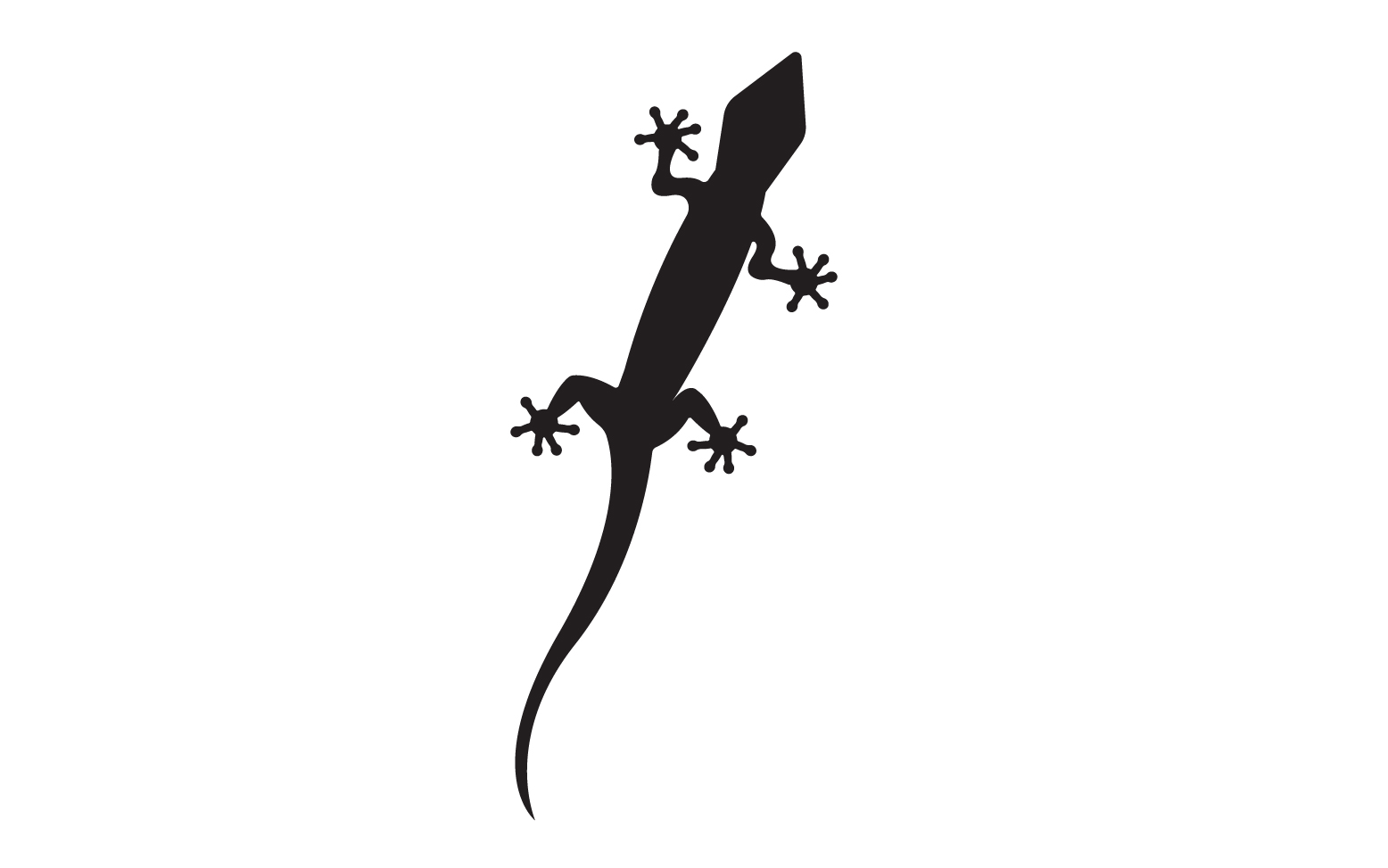 Lizard chameleon home lizard logo v41