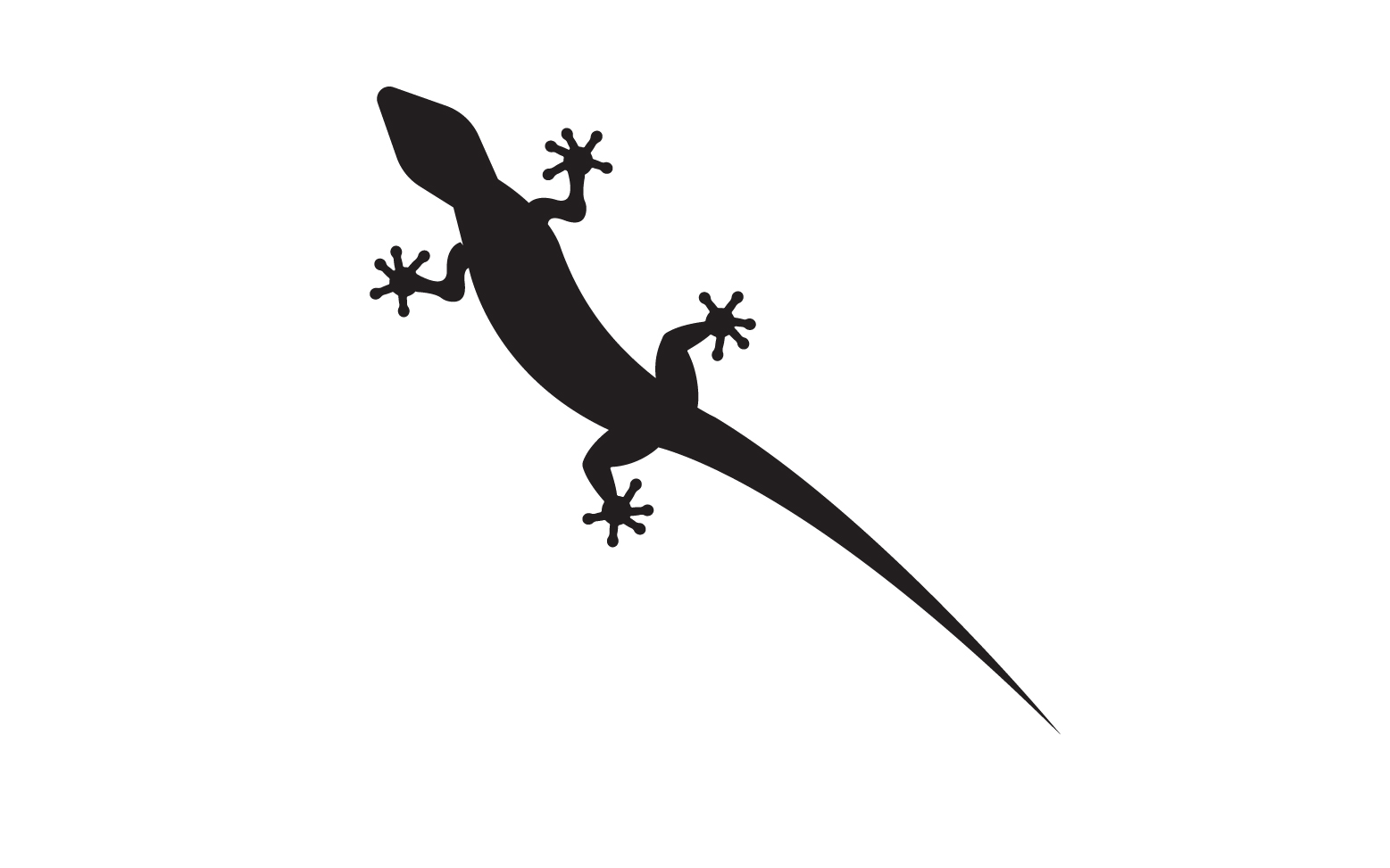 Lizard chameleon home lizard logo v43