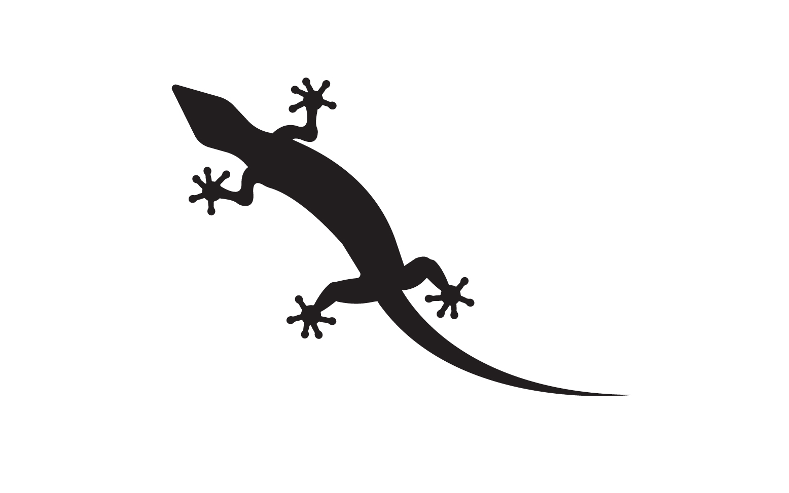 Lizard chameleon home lizard logo v46