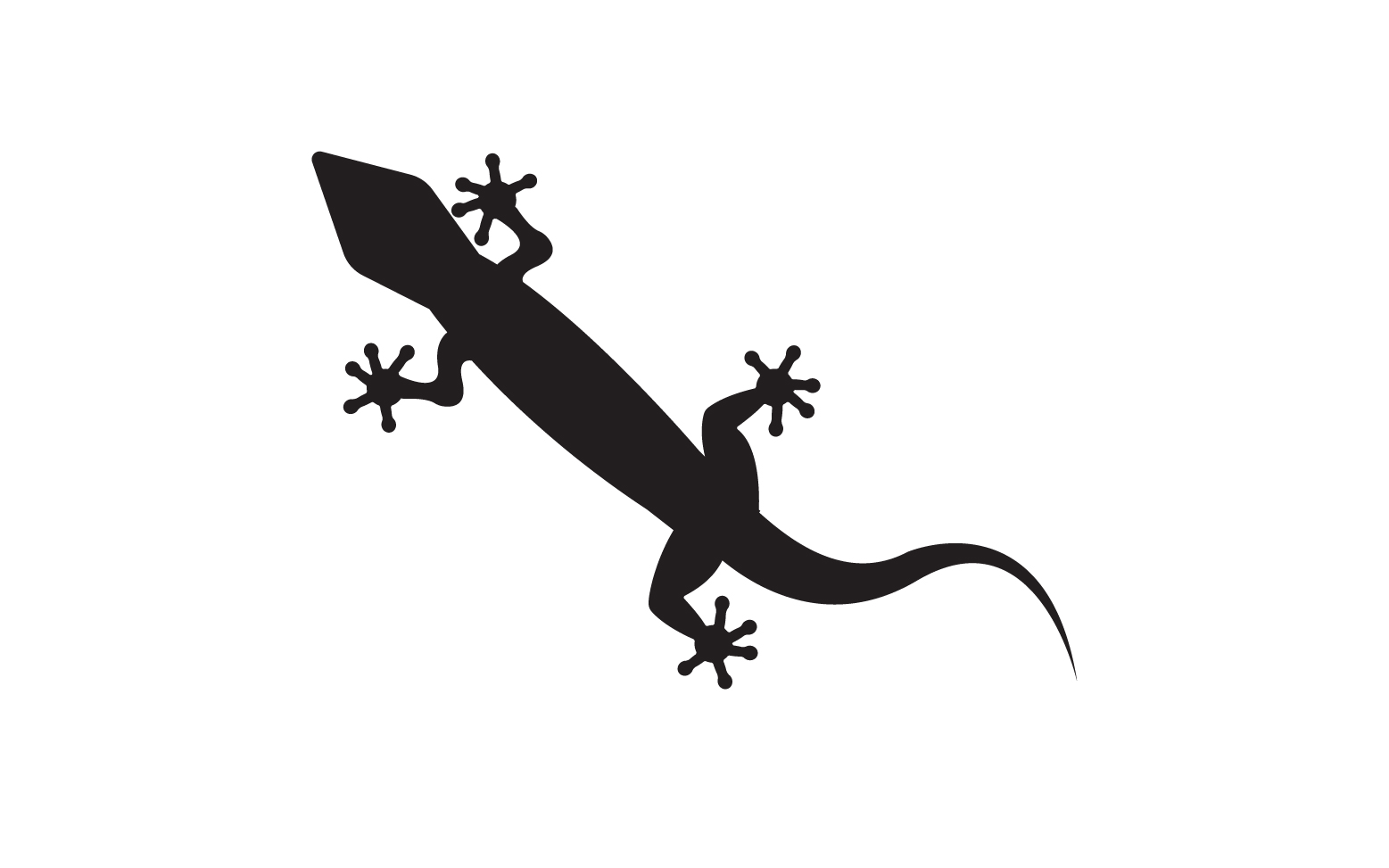 Lizard chameleon home lizard logo v42