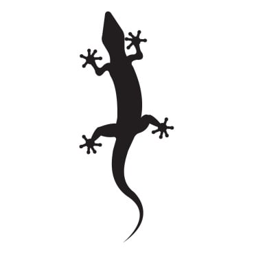 Animal Chameleon Logo Templates 392150