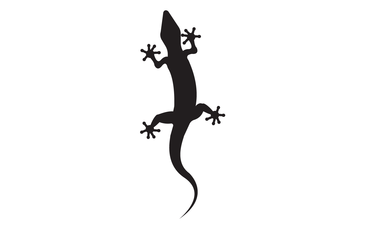 Lizard chameleon home lizard logo v47