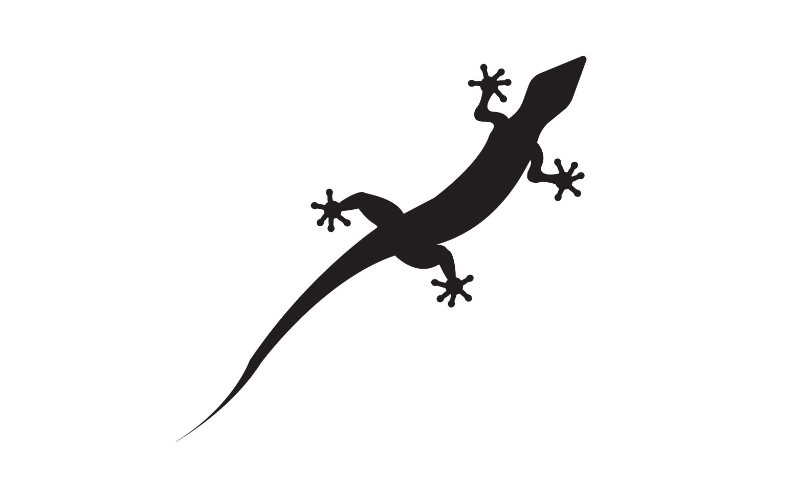 Lizard chameleon home lizard logo v44