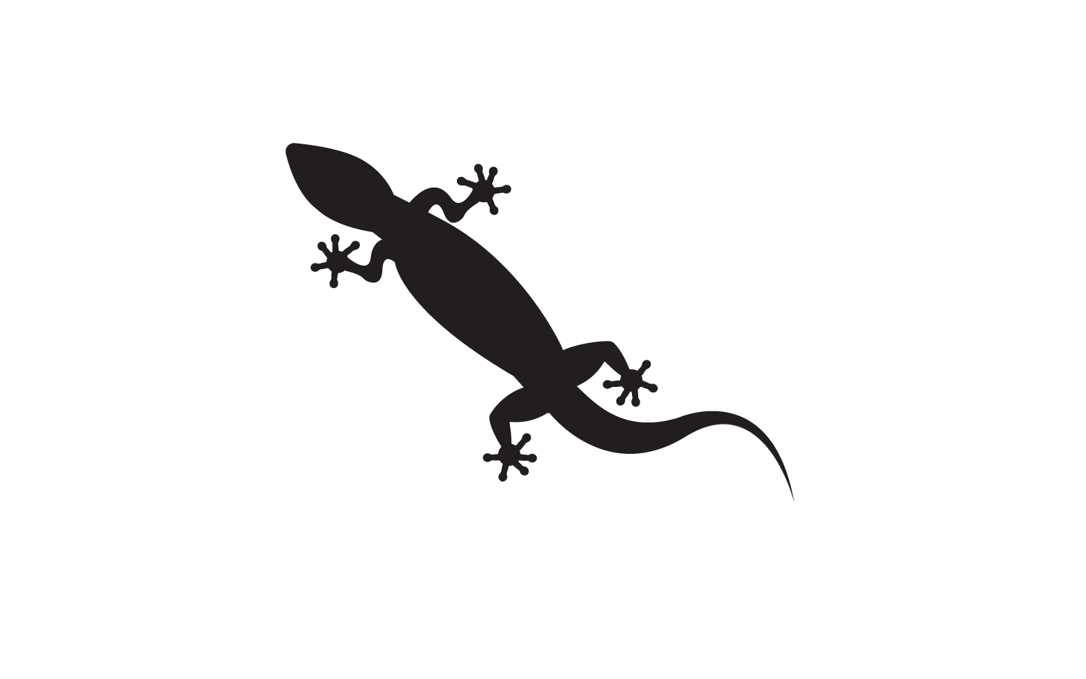 Lizard chameleon home lizard logo v50