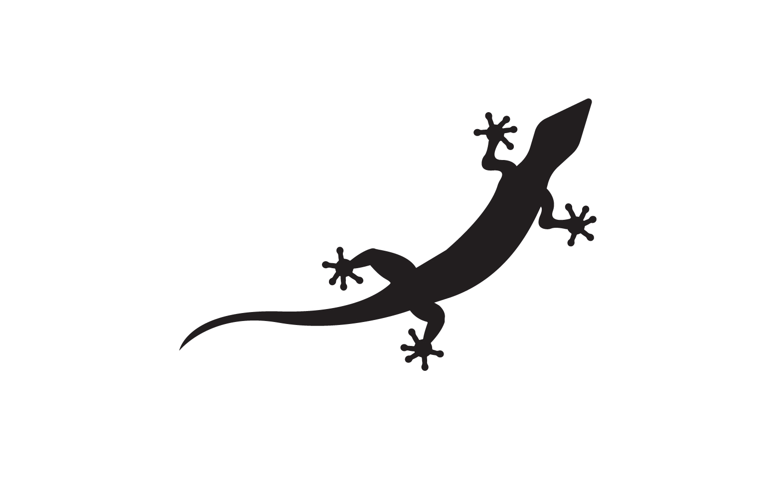 Lizard chameleon home lizard logo v48