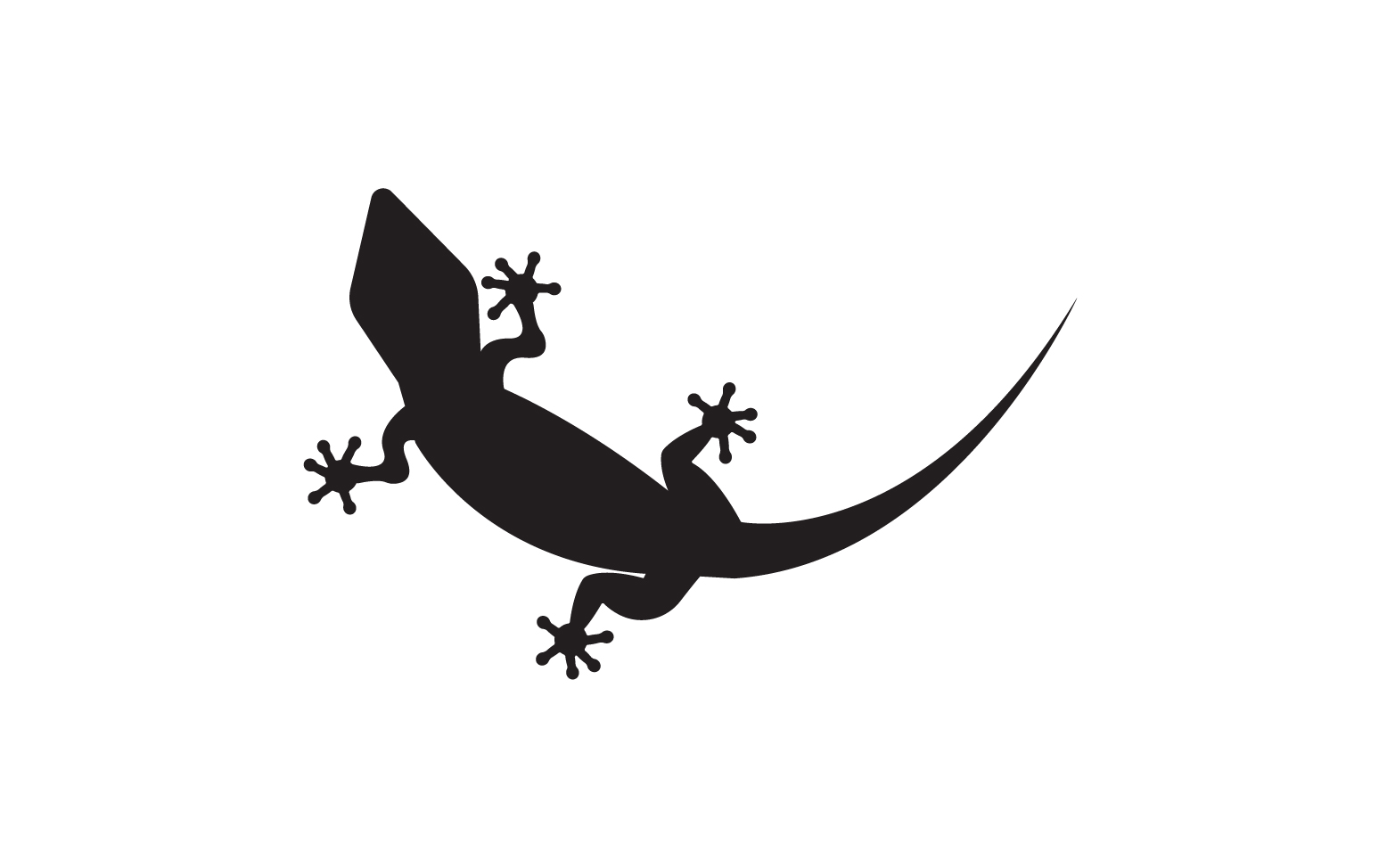 Lizard chameleon home lizard logo v54
