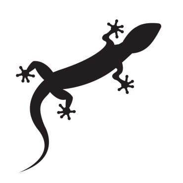 Animal Chameleon Logo Templates 392155