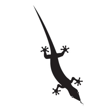 Animal Chameleon Logo Templates 392156